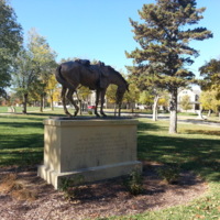Cavalry Horse Memorial CW Fort Riley KS.jpg