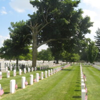 Springfield MO National Cemetery with Confederates20.JPG