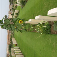 CWGC Anzio Cemetery13.jpg