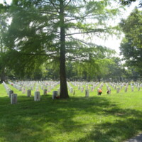 Springfield MO National Cemetery with Confederates40.JPG