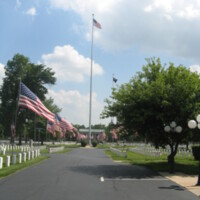 Springfield MO National Cemetery with Confederates3.JPG