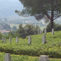 German Military Cemetery WWII of Cassino Italy13.jpg
